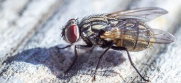 Pest control made easy with TermiteTamers. (8) Pest control made easy with TermiteTamers. (8)
